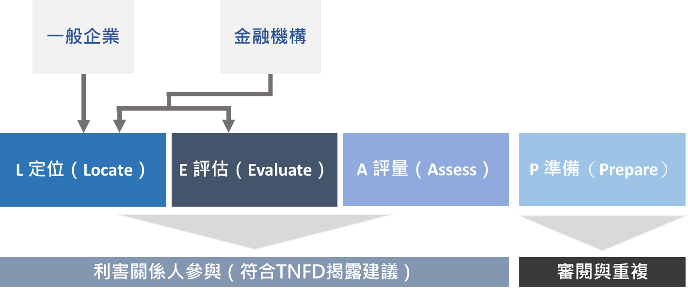 TNFD提出的LEAP階段