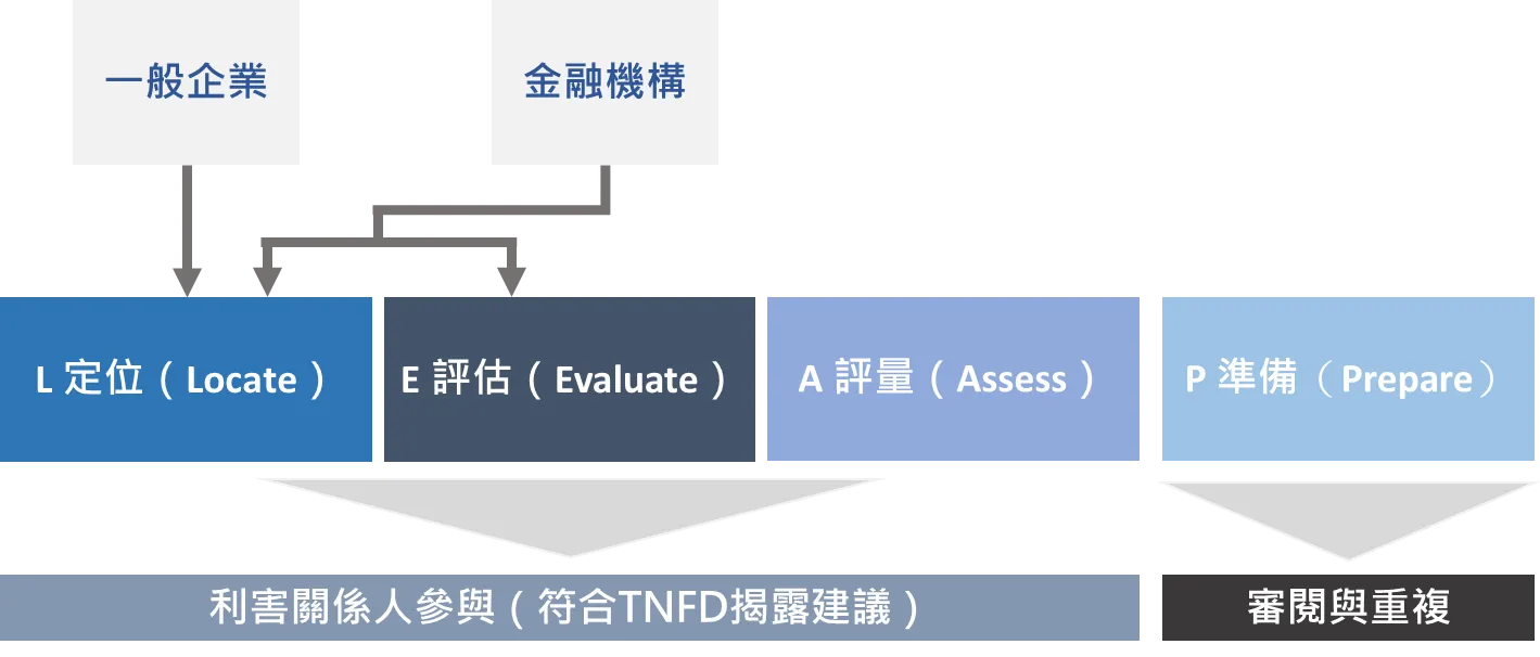 TNFD提出的LEAP階段